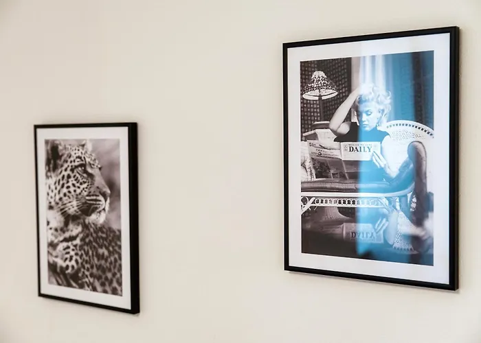 Pardo By Quokka 360 - Old Town