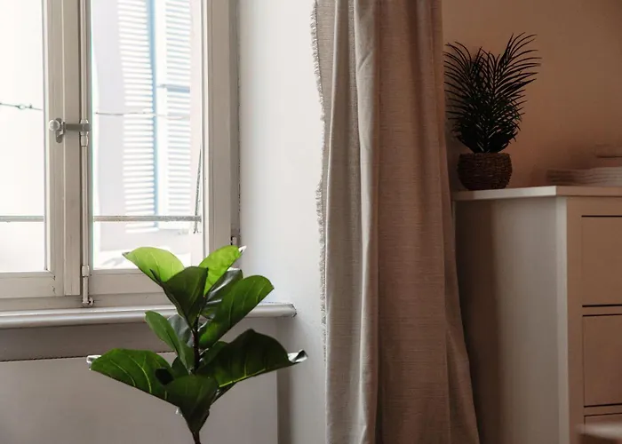 Pardo By Quokka 360 - Old Town Locarno